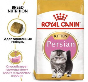 Royal Canin Kitten Persian сухой корм для Персидских котят в возрасте до 12 месяцев 400г
