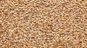 Солод "Cookle malt" VIKING MALT (EBC 40 - 60)