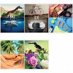 Тетрадь 96л. А5 клетка &quot;Стиль. Play Nature&quot;
