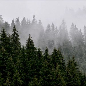 Самоклеящаяся антивандальная пленка Туман в горах
