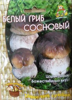 Грибы Белый гриб Сосновый (Код: 83116 )