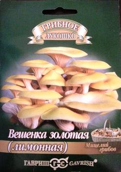 Грибы Вешенка Золотая Лимонная (Код: 82741 )