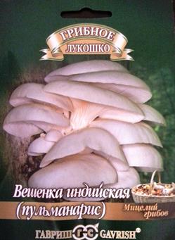 Грибы Вешенка Индийская Пульмонарис (Код: 82742 )