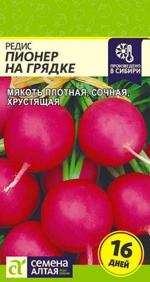 Редис Пионер на Грядке (16 дней)/Сем Алт/цп 1 гр.