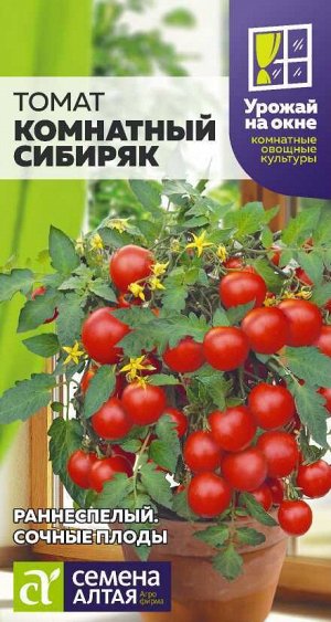 Томат Комнатный Сибиряк/Сем Алт/цп 0,05 гр. УРОЖАЙ НА ОКНЕ!