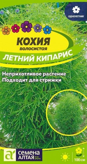 Кохия Летний Кипарис 0,2 гр
