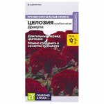 Цветы однолетние