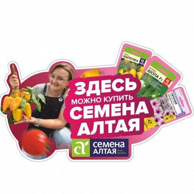 Семена Алтая. Сезон 2024