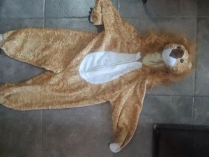 Новогодний костюм -Лев, Божья коровка, Пожарник
