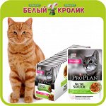 Pro Plan — Влажные корма для кошек