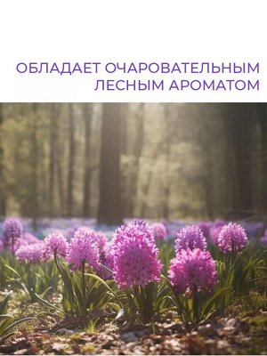 "PRO" Кондиционер для белья "Forest Aroma" 500мл