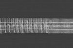 Тесьма С 22 органзовая, ширина рулона 4 см, 2 нити, в бобине 100м
