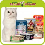 Премиум Влажные корма для кошек