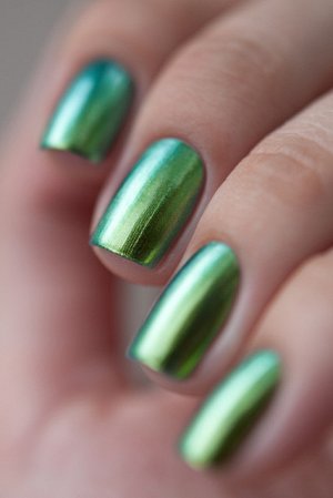 Chameleon 05