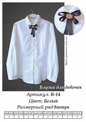 Блузка для девочек дл. рукав, BROSTEM