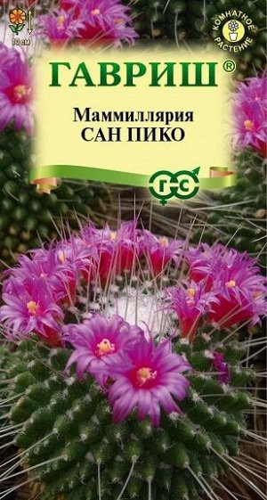 Маммиллярия Толука Сан пико (Код: 91503)