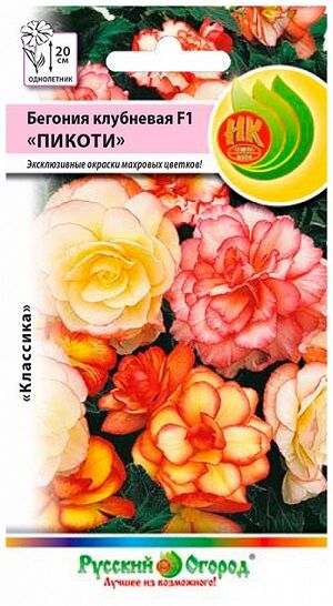 Бегония Пикоти клубневая F1 смесь (Код: 12818)