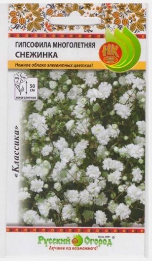 Гипсофила Снежинка (Код: 31)