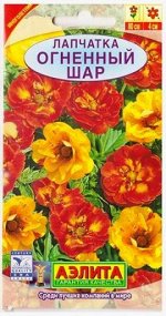 Лапчатка Огненный шар смесь (Код: 4952)