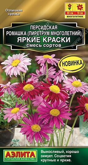 Ромашка Яркие краски персидская (Код: 91079)
