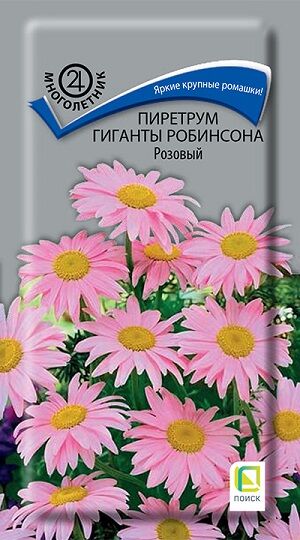 Пиретрум Гиганты Робинсона Розовый (Код: 91185)