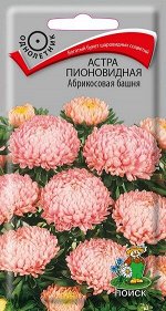 Астра Абрикосовая башня (Код: 91149)