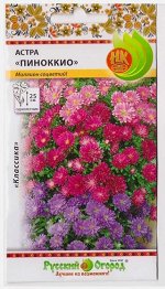 Астра Пиноккио смесь (Код: 13482)