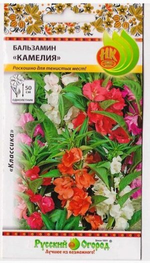Бальзамин Камелия Смесь (Код: 79541)