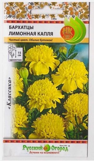 Бархатцы Лимонная капля (Код: 139)