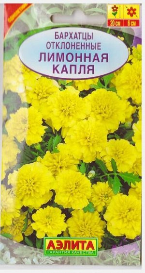 Бархатцы Лимонная Капля (Код: 14012)