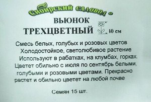 Вьюнок трехцветный ч/б (Код: 3065)