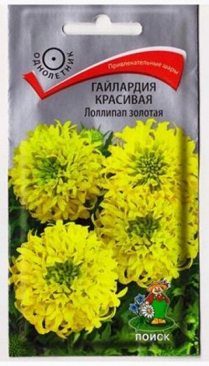 Гайлардия Красивая Лоллипап Золотая (Код: 81261)