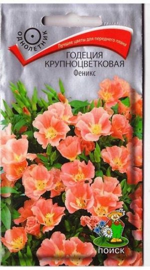 Годеция Феникс (Код: 66862)