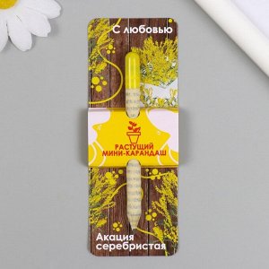 Растущие подарочные карандаши mini С любовью "Акация серебристая"