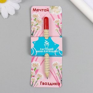 Растущие подарочные карандаши mini Мечтай "Гвоздика"