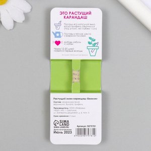 Растущие подарочные карандаши mini Вырасти свой салатик "Базилик"