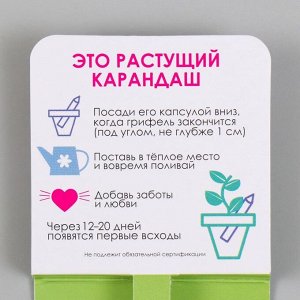 Растущие подарочные карандаши mini Вырасти свой салатик "Базилик"