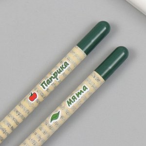 Растущие подарочные карандаши mini "Мята и Паприка" набор 2 шт
