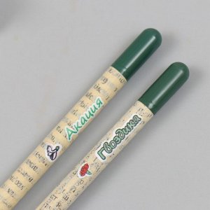 Растущие подарочные карандаши mini "Акация и гвоздика" набор 2 шт