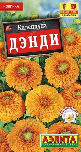 Календула Дэнди (Код: 91005)