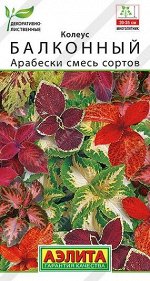 Колеус Арабески (Код: 91009)