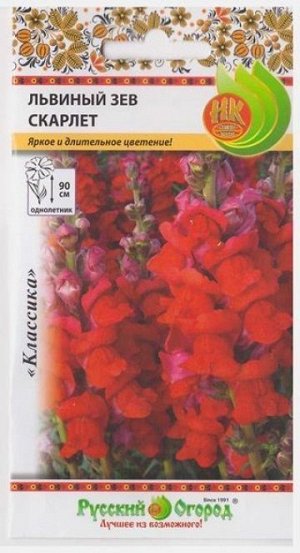 Львиный зев Скарлет (Код: 521)