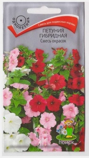 Петуния Смесь окрасок гибридная (Код: 65835)