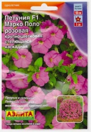 Петуния Марко Поло F1 Розовая (Код: 67503)