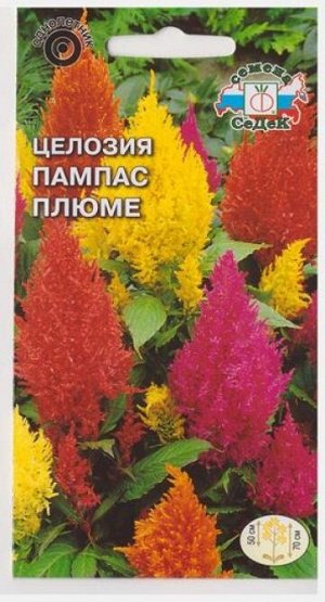 Целозия Целозия Пампас Плюме (Код: 68913)