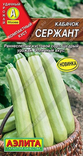 Кабачок Сержант (Код: 90915)