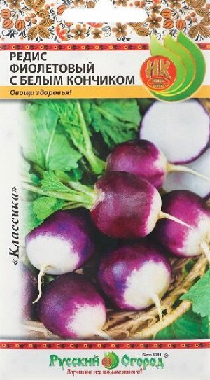 Редис Фиолетовый с белым кончиком (Код: 90719)