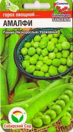 Горох Амалфи (Код: 86615)