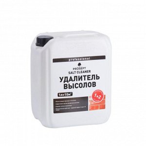 Удалитель высолов Prosept Salt Cleaner Концентрат 1:2, 5л