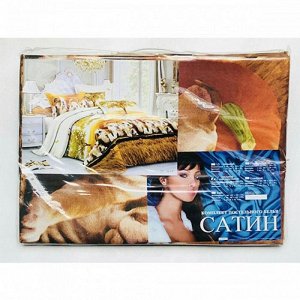 Комплект постельного белья Сатин 5D 2-спальный с евро простыней (Палитра K1)